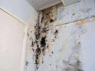 About Precision Restoration Partners - water damage restoration experts in london